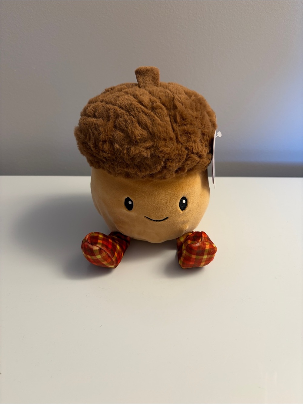 Gigglescape Acorn